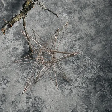 Star juledekorasjon 14 x 25 cm - Champagne - House Doctor