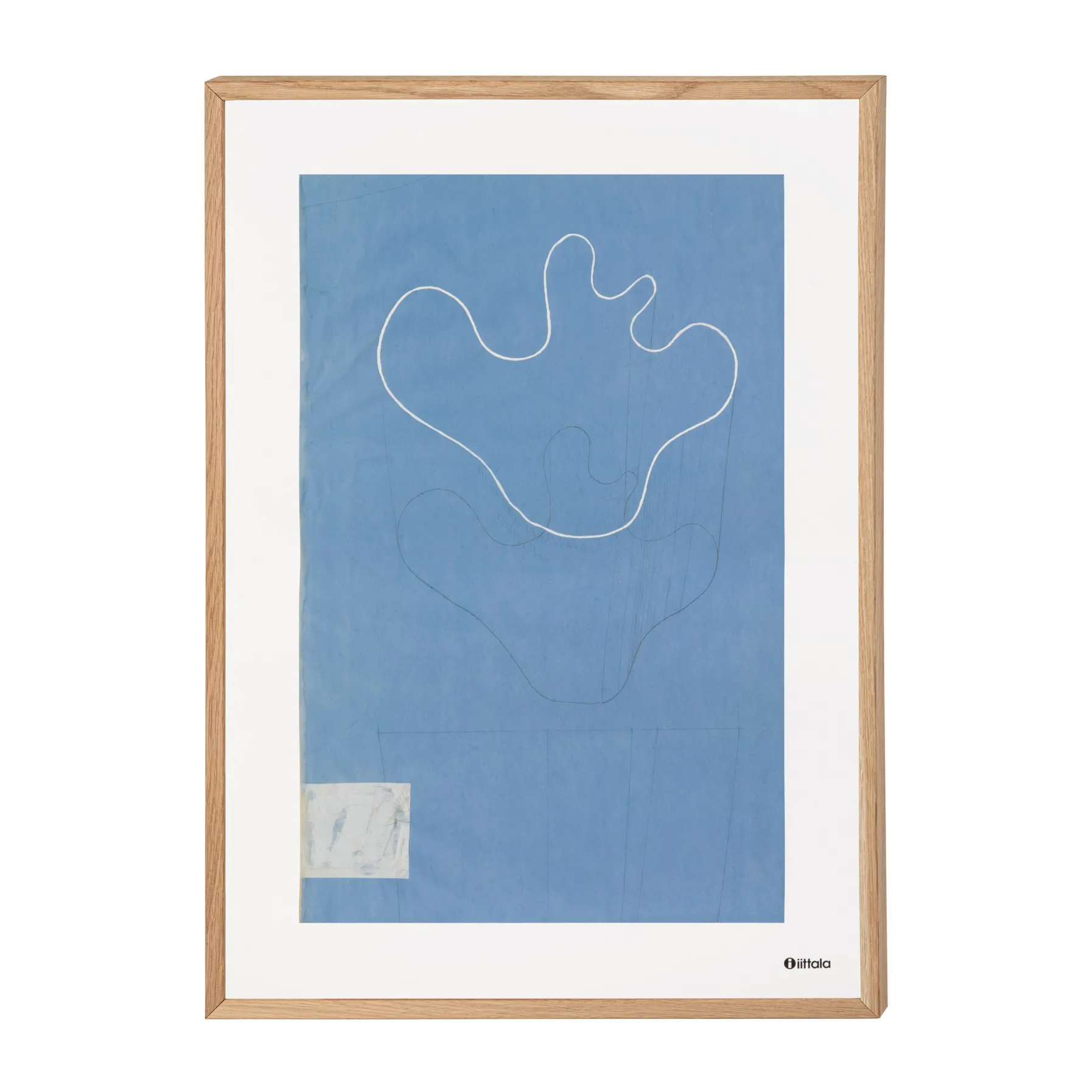 Aalto art Sketch blue plakat, 50 x 70 cm Iittala