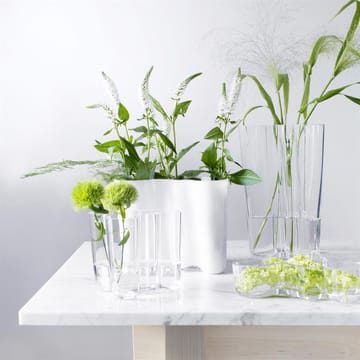 Alvar Aalto duo vase - klar - Iittala