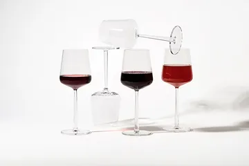Essence glassett 24 deler - Iittala
