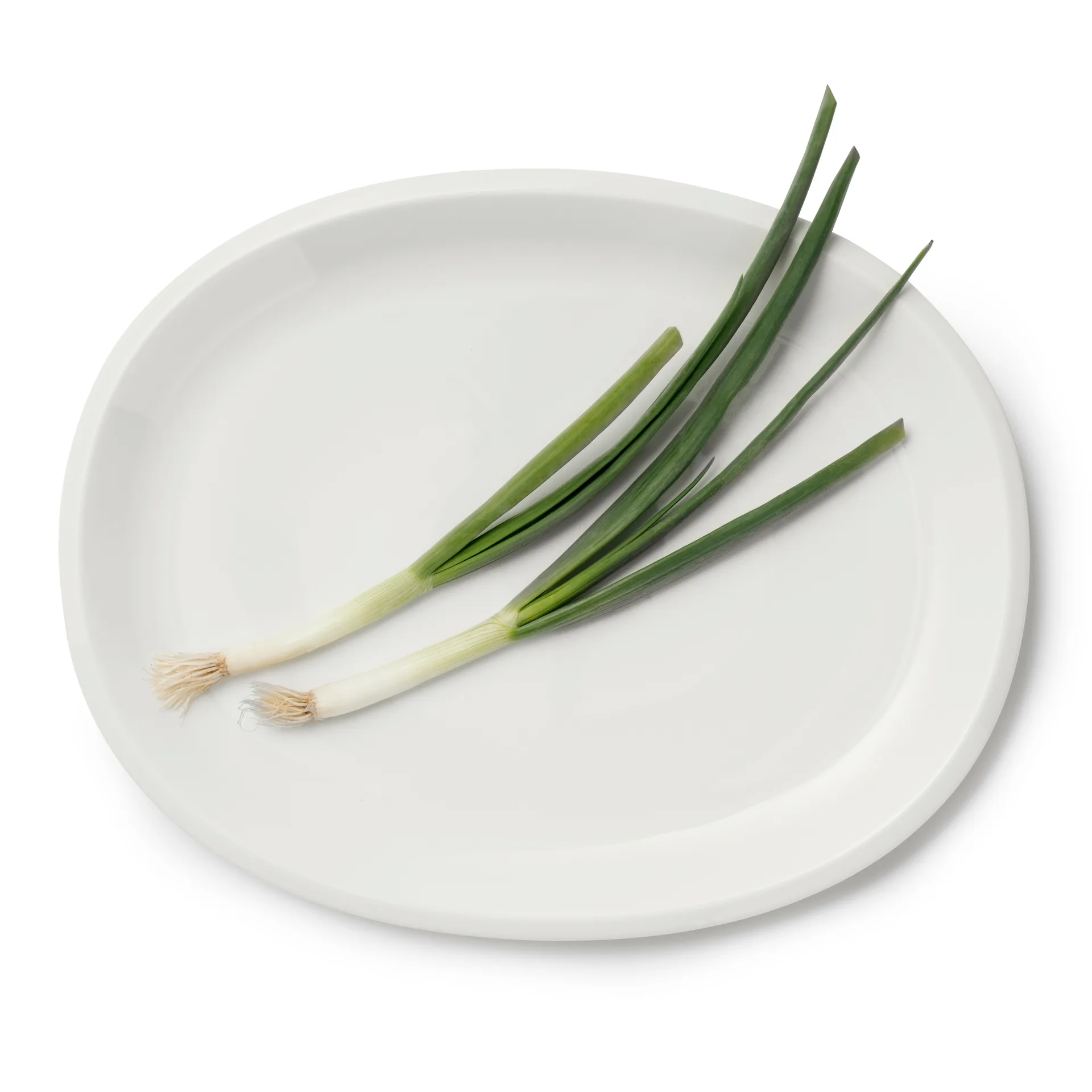 Raami ovalt serveringsfat 35 cm, Hvit Iittala