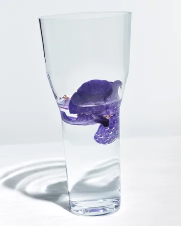 Solare vase høy Ø12x26 cm - Klar - Iittala