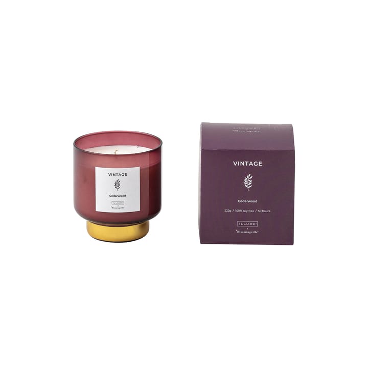 Vintage Cedarwood duftlys, 222 g Illume x Bloomingville