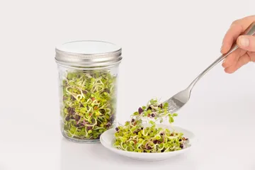Kilner spiresett - Klar-hvit, 500 ml - Kilner