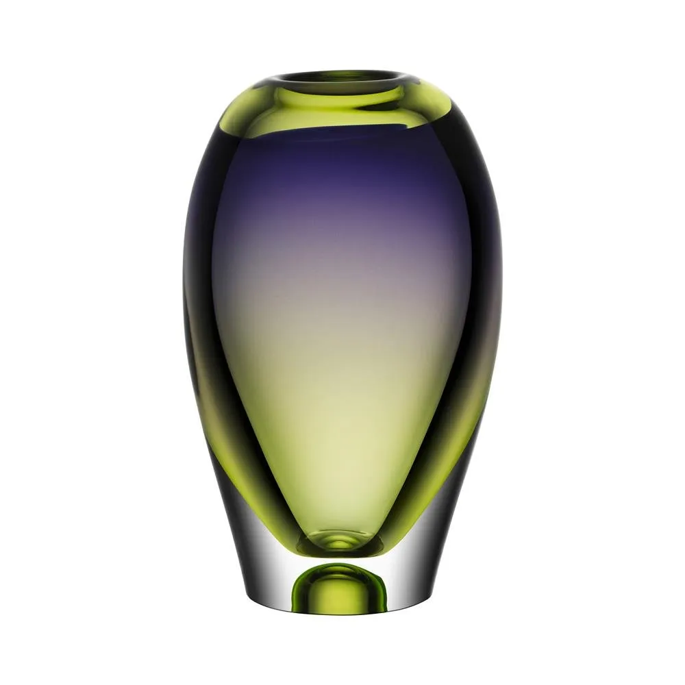 Kosta Boda Vision vase 255 mm Lilla-grønn