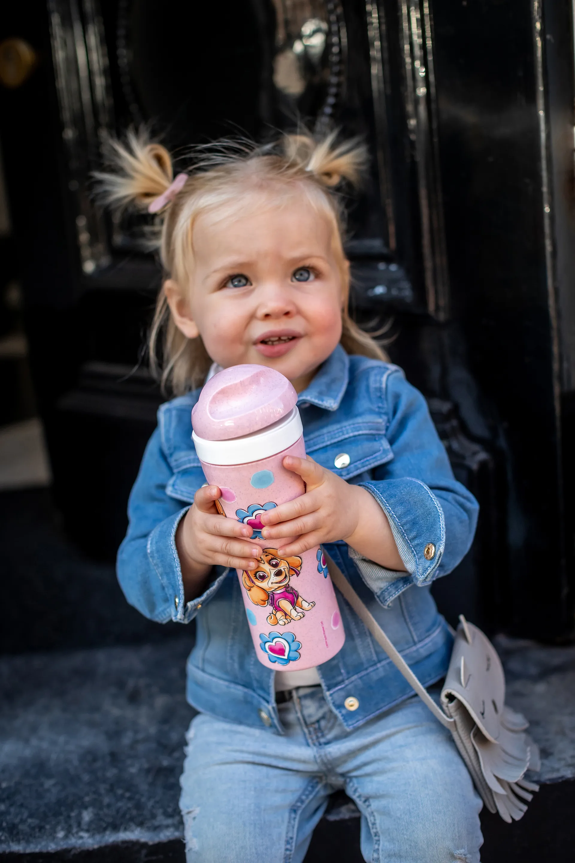 Oase Paw Patrol flaske 42,5 cl, Rosa Koziol