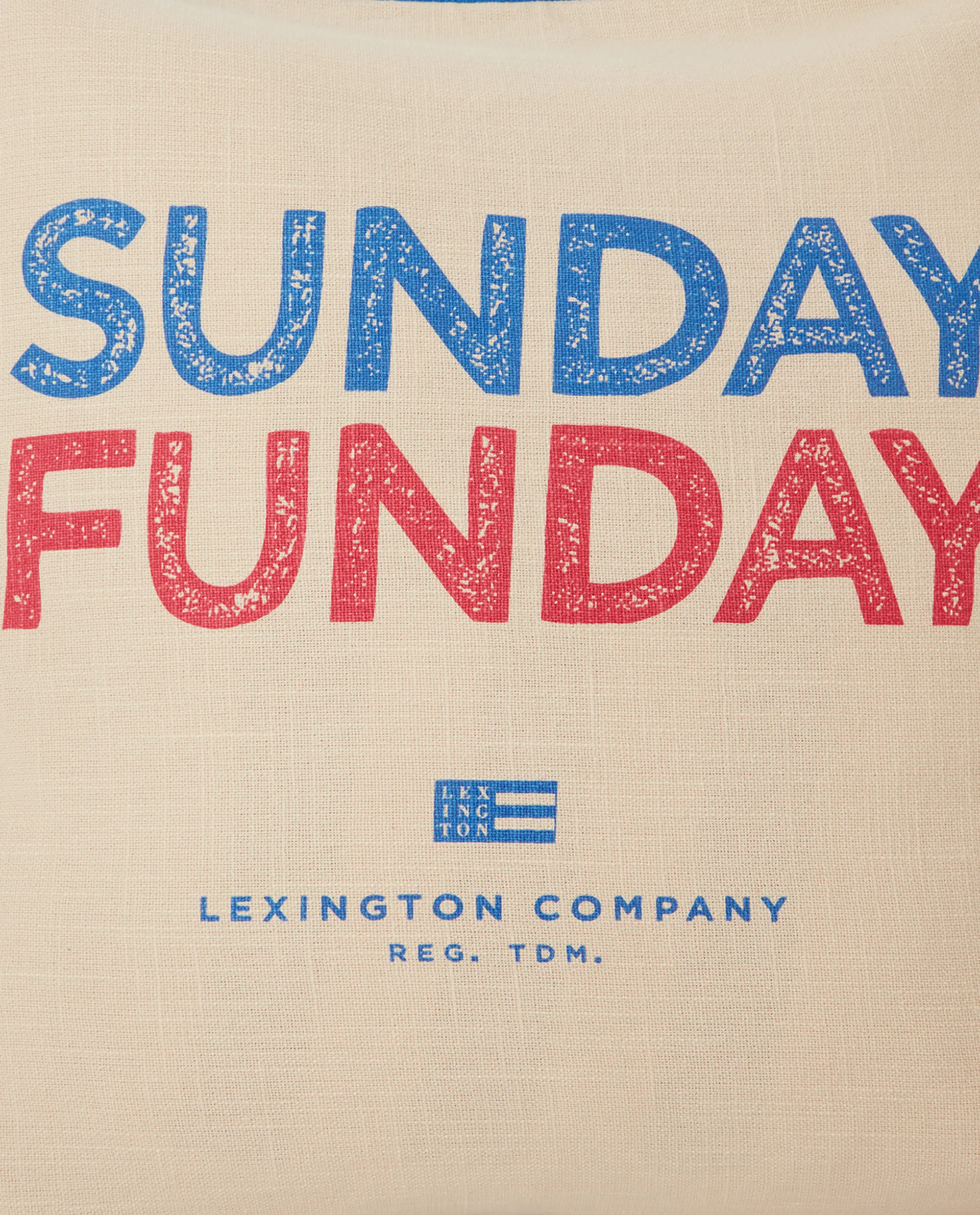 Sunday Funday Printed putetrekk 50 x 50 cm, Beige-blå-rosa Lexington
