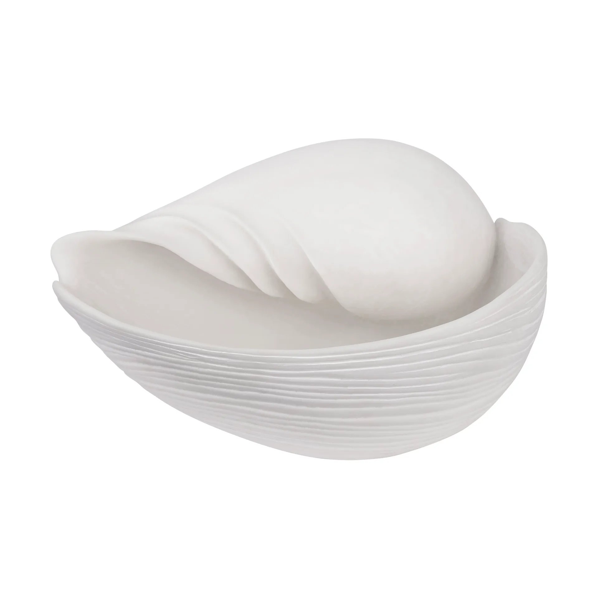 Conch dekorasjon skjell, Large Mette Ditmer