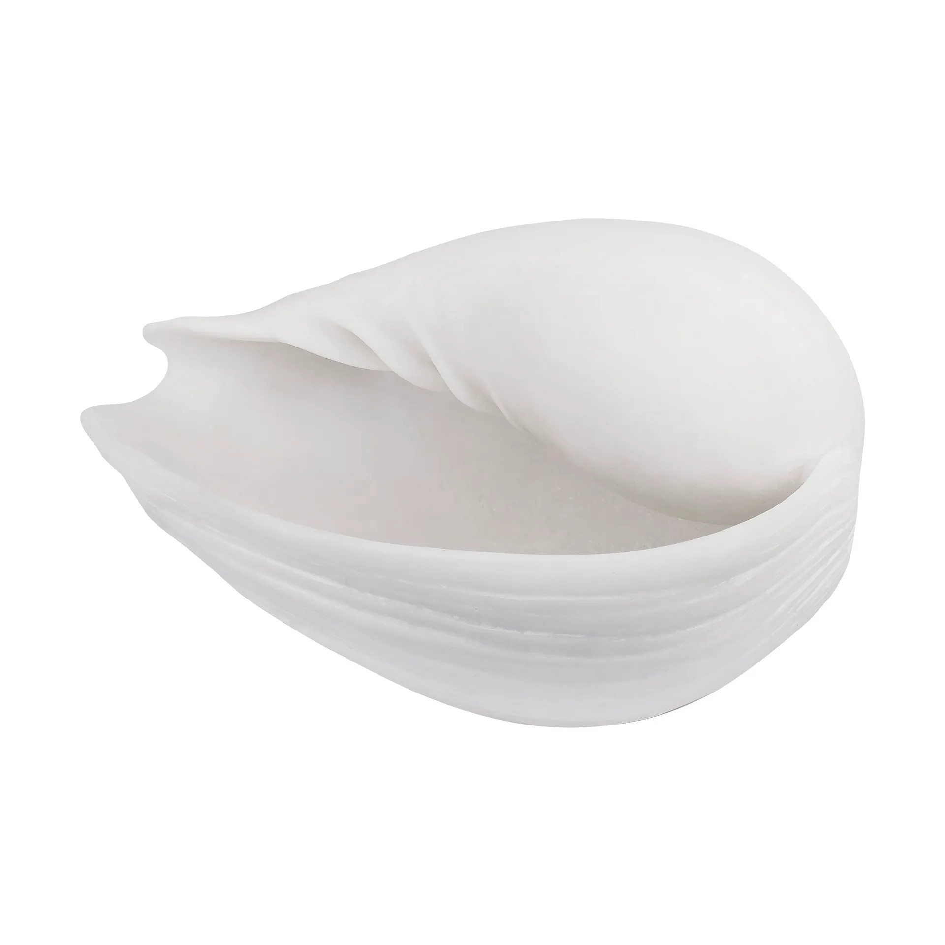 Conch dekorasjon skjell, Small Mette Ditmer