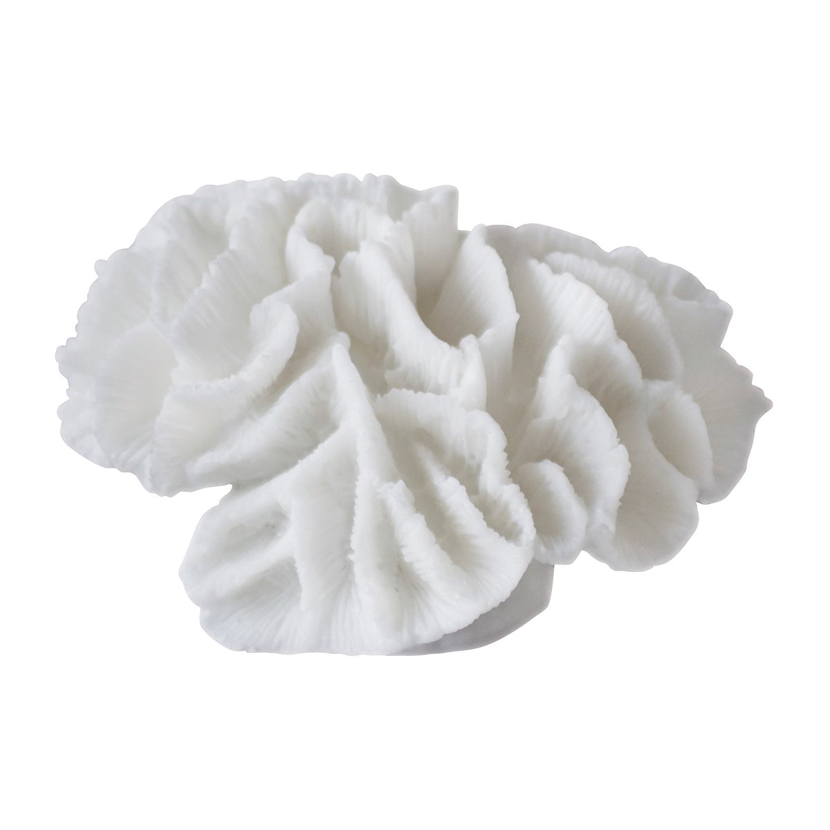 Mette Ditmer Coral gills White