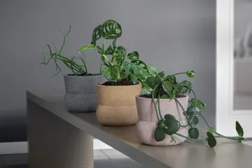 Stone blomsterpotte Ø 17 cm - Grey - Mette Ditmer