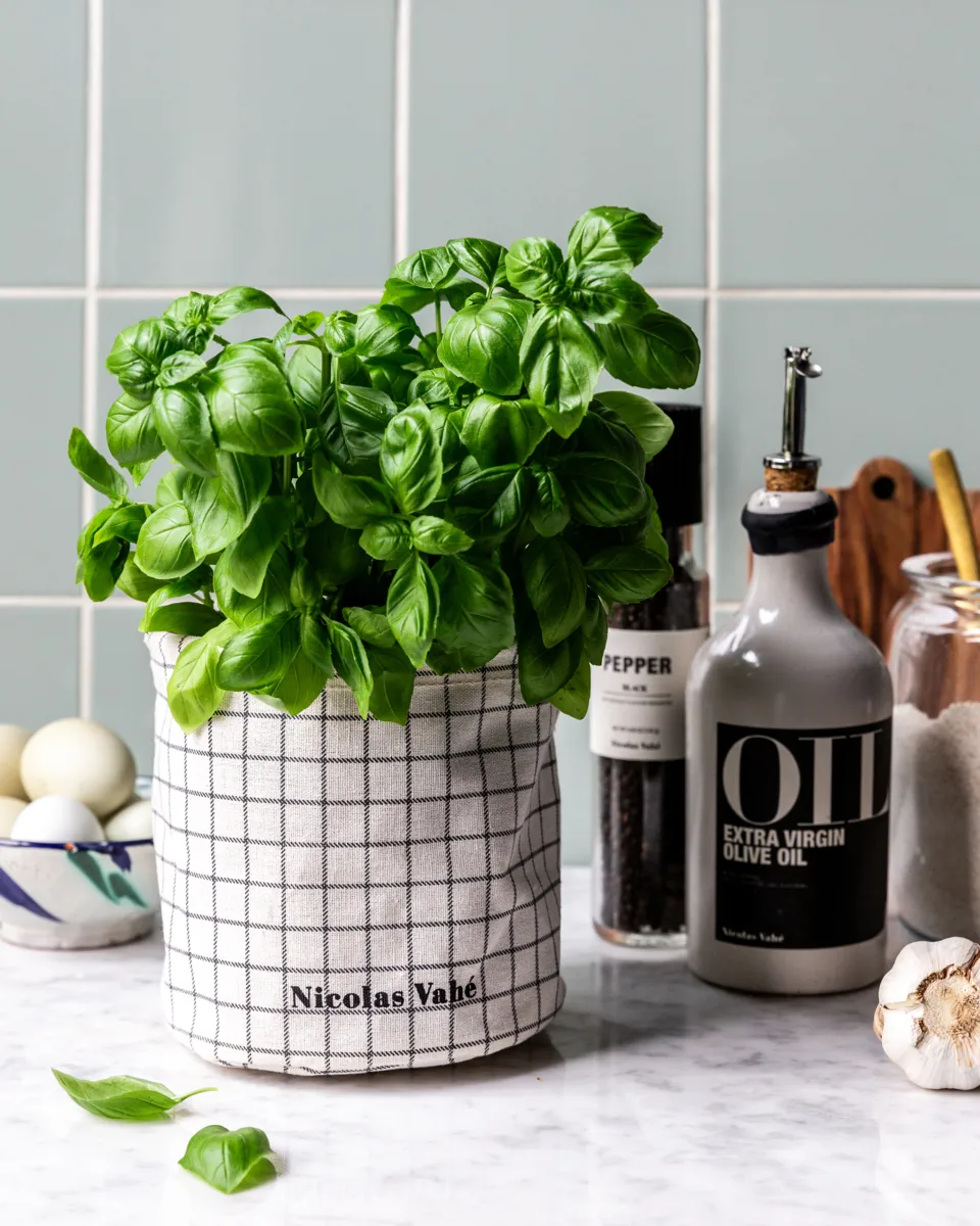 Kurv oppbevaringskurv, Grå Nicolas Vahé