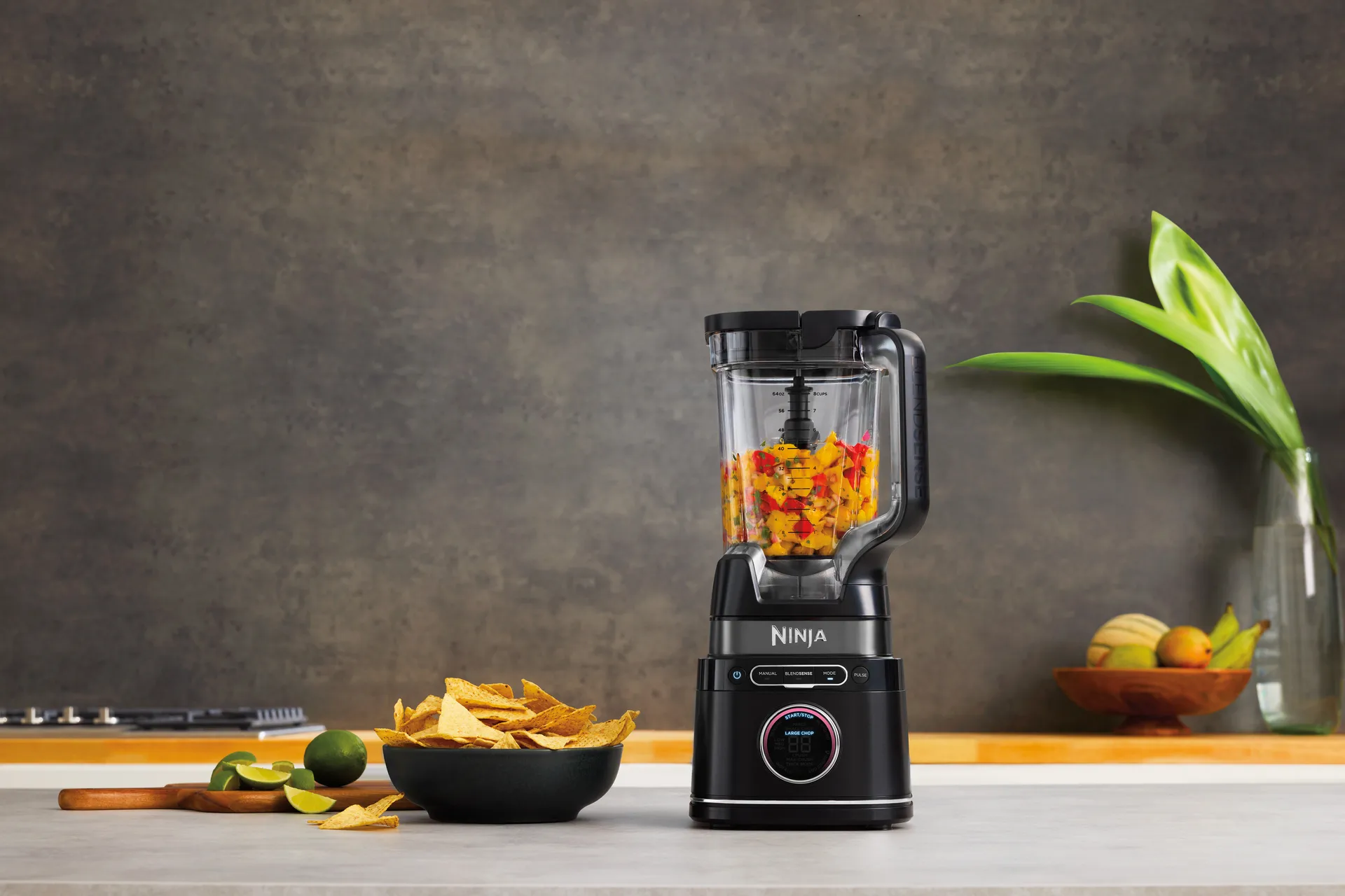 Ninja Detect TB301EU blender pro single serve, Svart Ninja