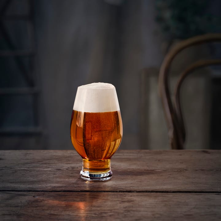 Beer IPA ølglass 4-pakk, 47 cl Orrefors
