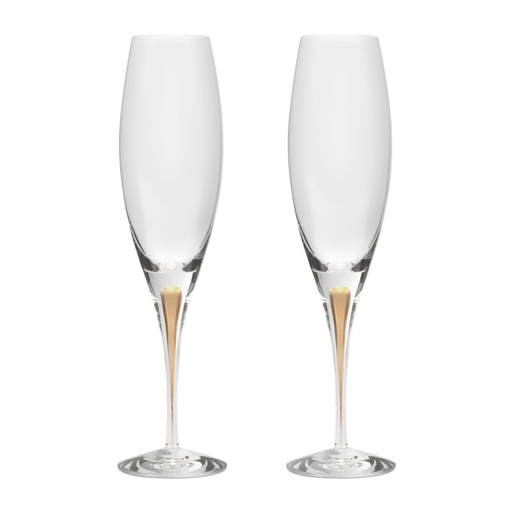 Intermezzo champagneglass 26 cl 2-pakning, Gull Orrefors