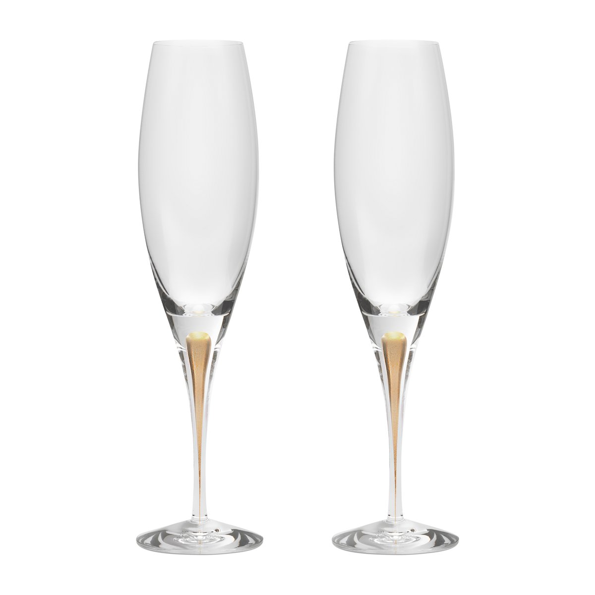 Intermezzo champagneglass 26 cl 2-pakning Gull