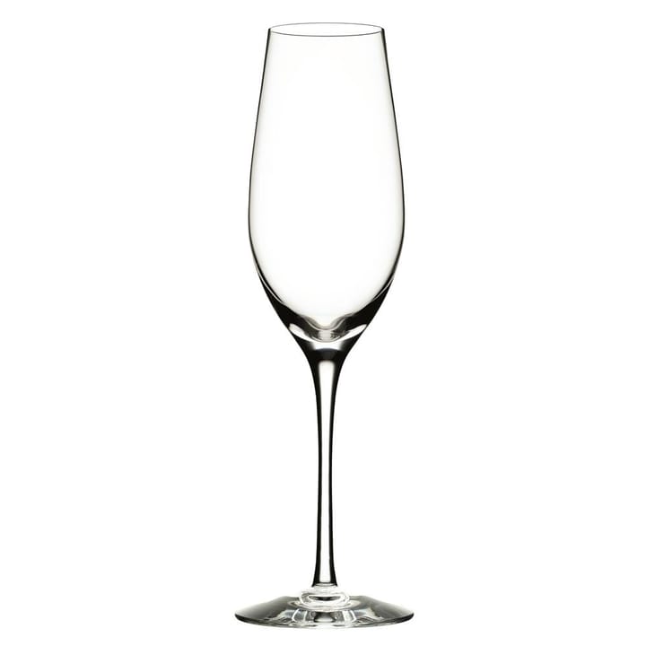 Merlot champagneglass, 33 cl Orrefors
