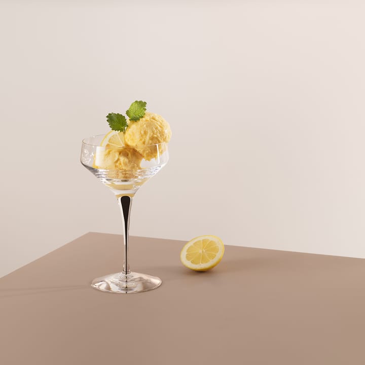 Metropol champagneglass 24 cl, Svart Orrefors
