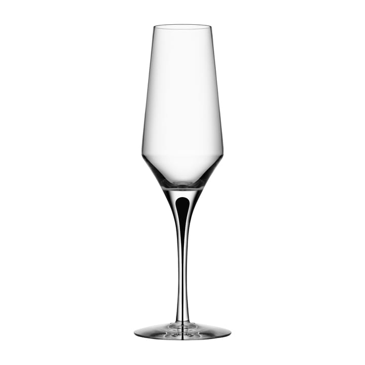 Metropol champagneglass 27 cl, Clear/Black Orrefors