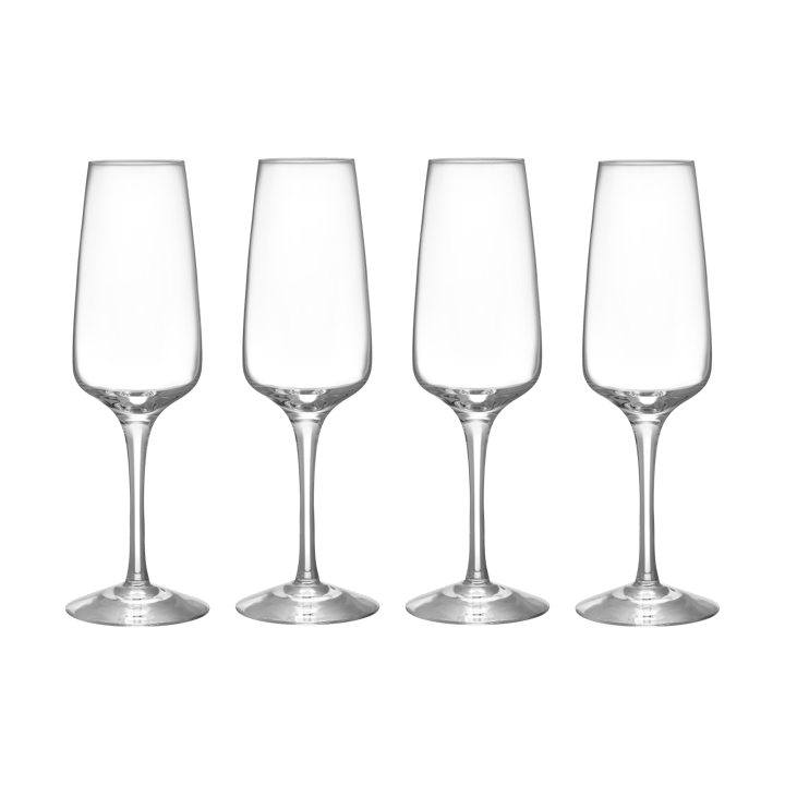 Pulse champagneglass 28 cl 4-pakning, Klar Orrefors