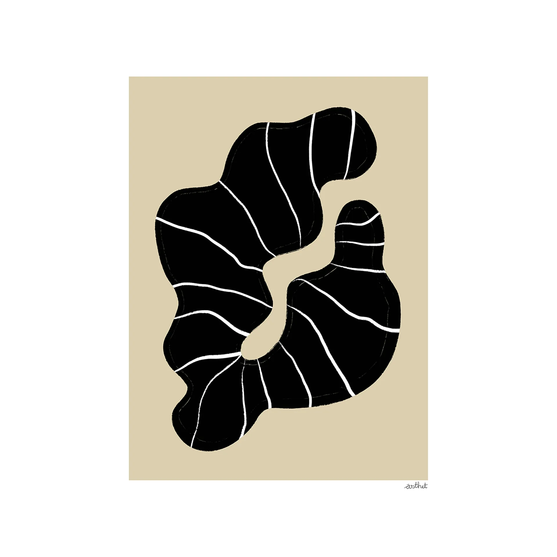 Beach Find plakat, 50 x 70 cm Paper Collective