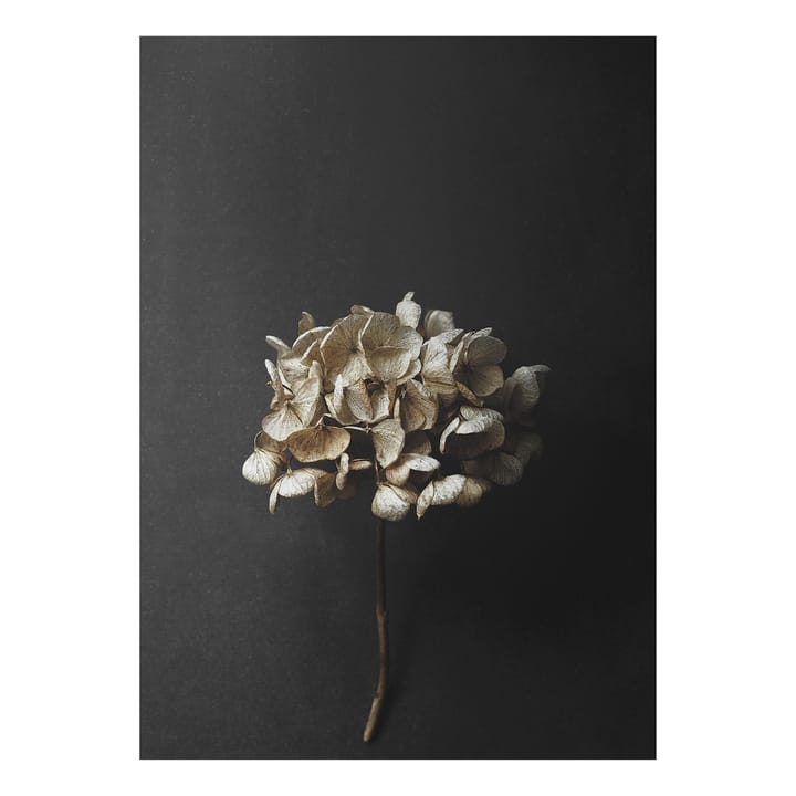 Stil Life 04 Hydrangea poster - 30x40 cm - Paper Collective