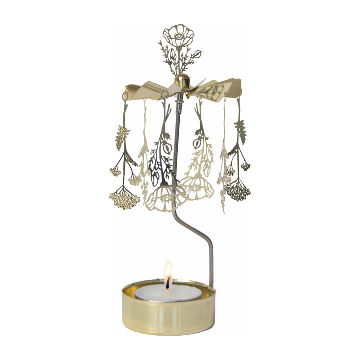 Engelspill flora, Gull Pluto Design
