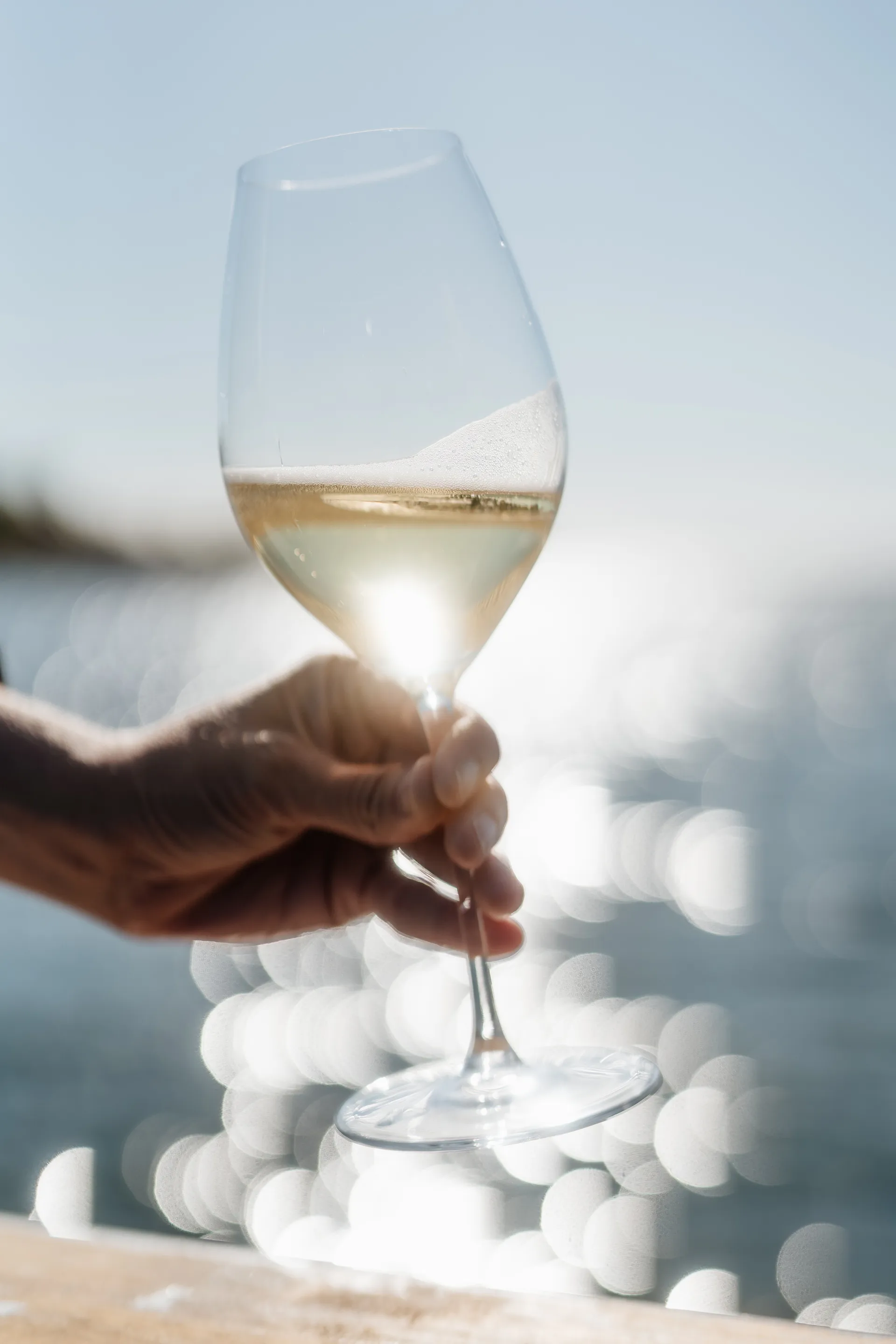 Veritas champagneglass 45,9 cl, 270-årsjubileum, 2-pakning Riedel