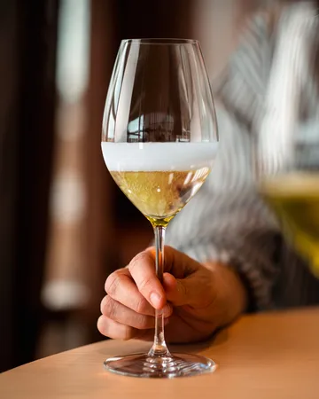 Veritas champagneglass 45,9 cl - 270-årsjubileum, 2-pakning - Riedel