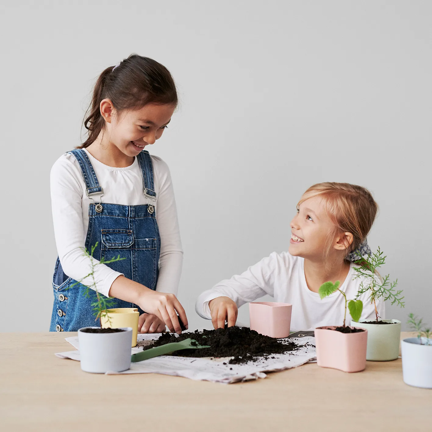 YOUR TREE krukke med frø, Rosa (Bjørk) RIG-TIG