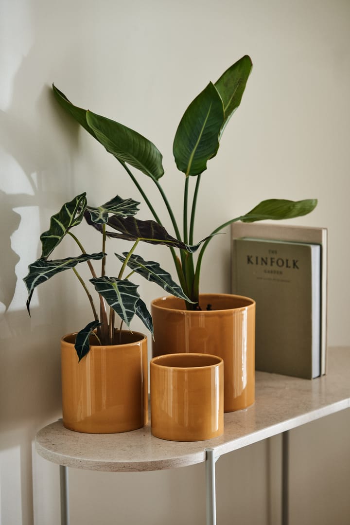 Sleek krukke Ø 12 cm, Mustard Scandi Living