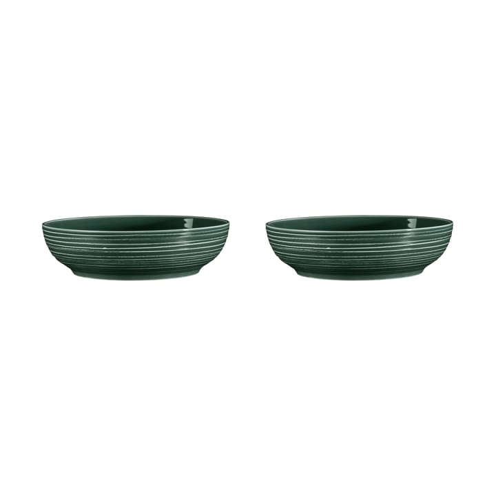 Terra skål Ø 25,5 cm 2-pakning - Moss Green - Seltmann Weiden