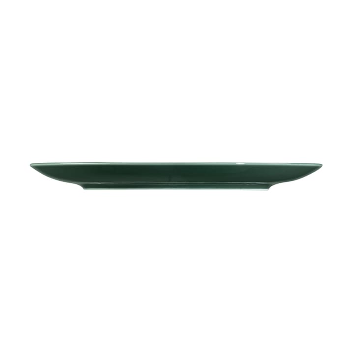 Terra tallerken Ø 22,7 cm 6-pakning, Moss Green Seltmann Weiden