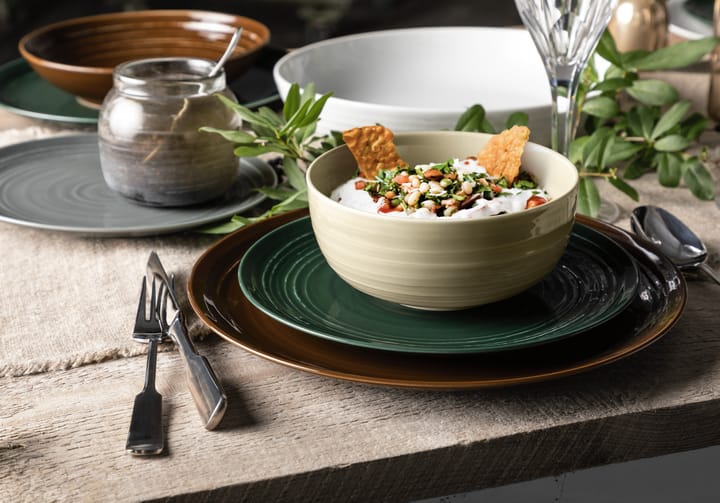 Terra tallerken Ø 22,7 cm 6-pakning, Moss Green Seltmann Weiden