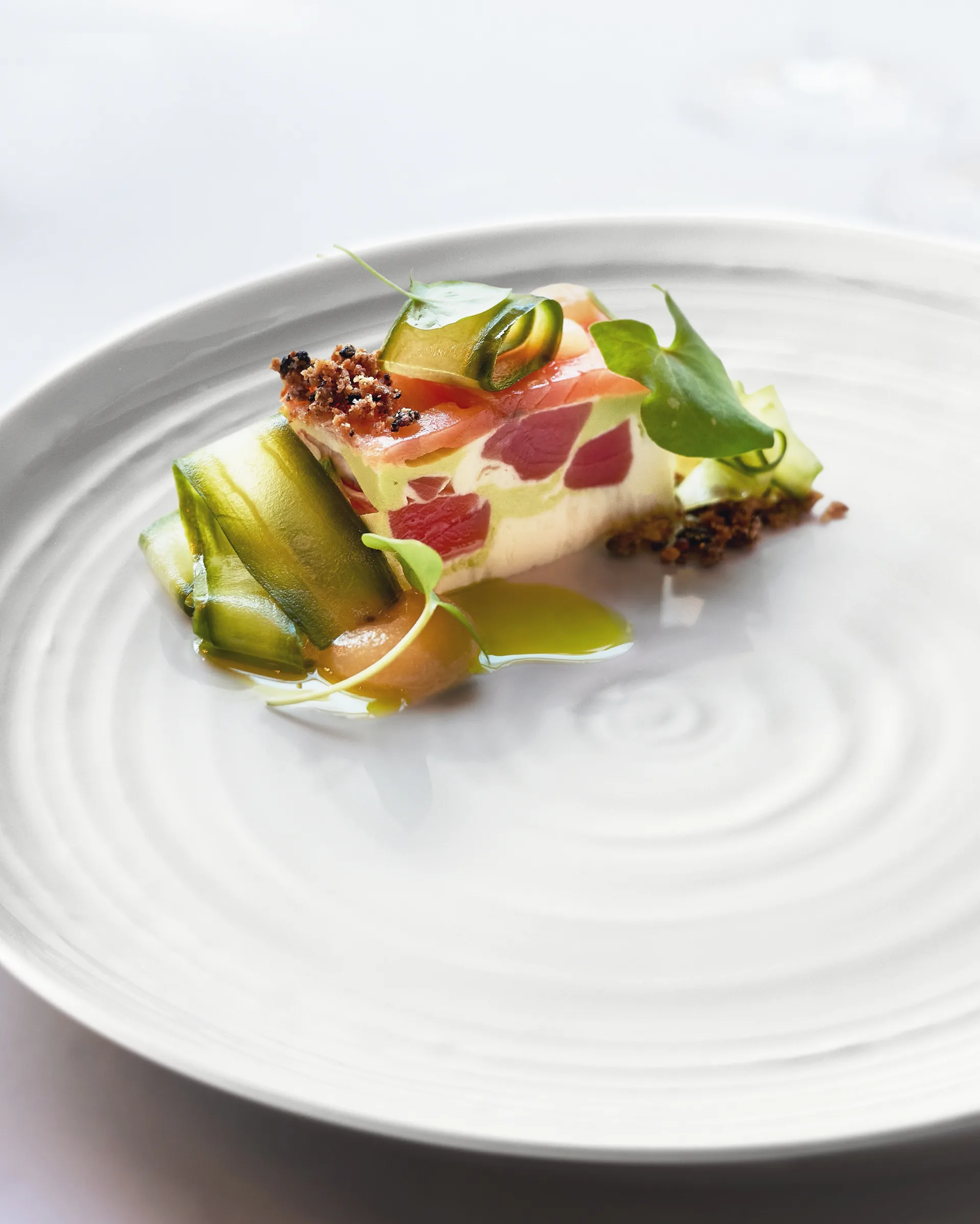 Terra tallerken Ø 27,8 cm 6-pakning, Hvit Seltmann Weiden