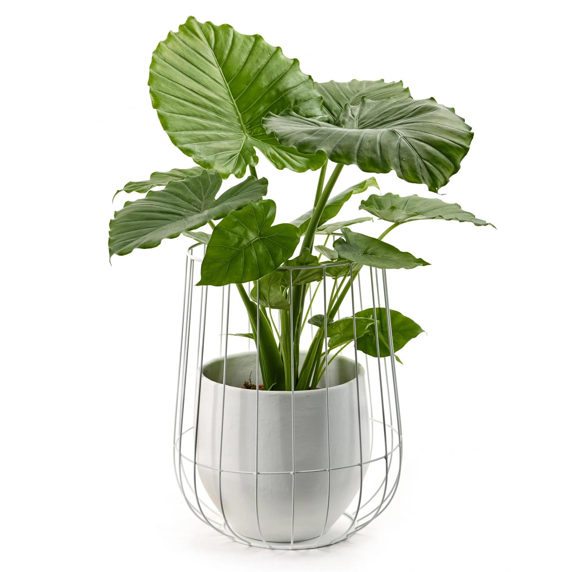 Serax blomsterpotte i kurv Ø37 cm h46 cm, White Serax