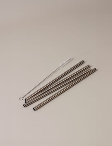 Stelton gjenbrukbare sugerør 4-pakning - Steel - Stelton