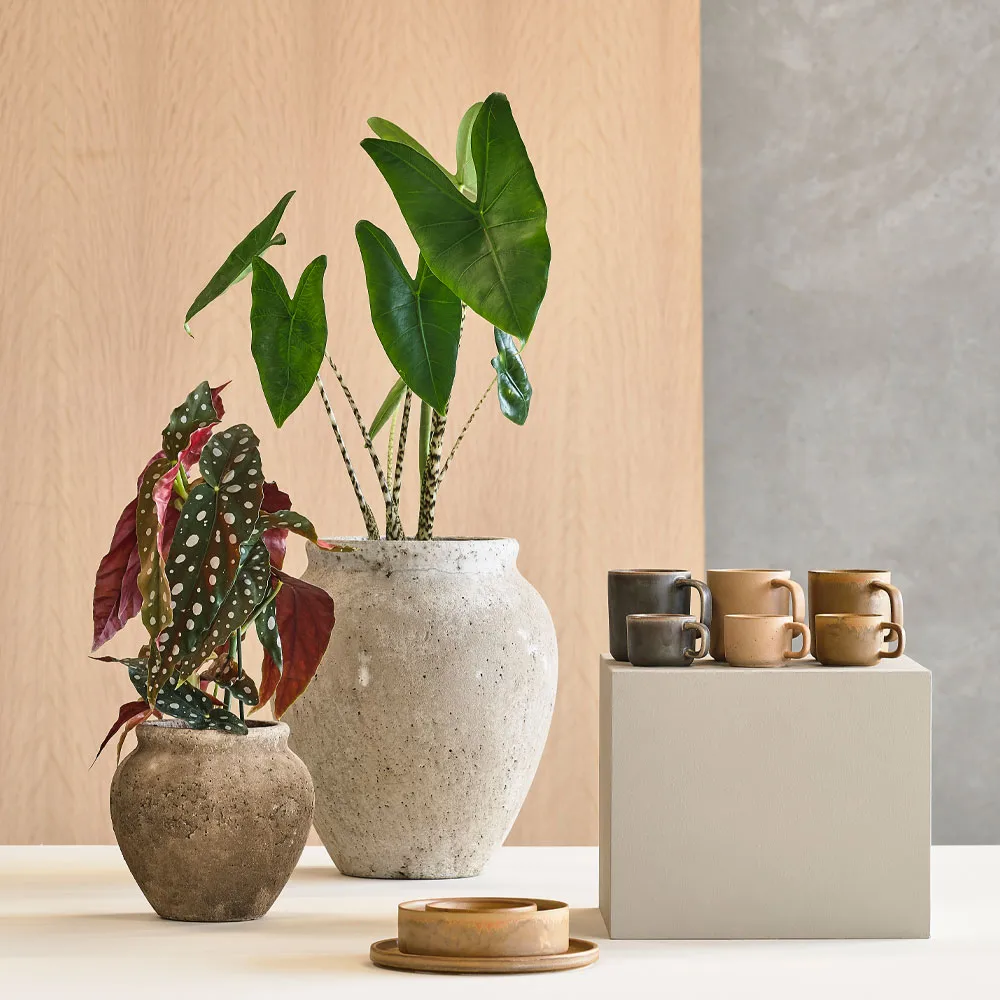 Loev krukke, Grå, stor Ø30.5 cm Villa Collection
